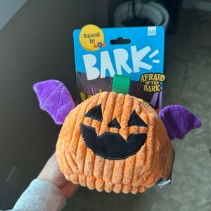 BARK— Afraid of the bark